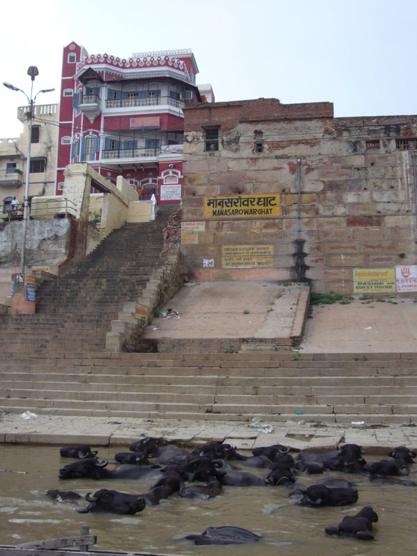Travel - India - Varanasi - Gangees Boattrip